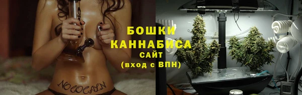 прущий лед Краснослободск