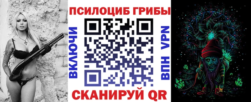 Галлюциногенные грибы MAGIC MUSHROOMS это наркотические препараты Медынь купить наркоту МЕГА ТОР